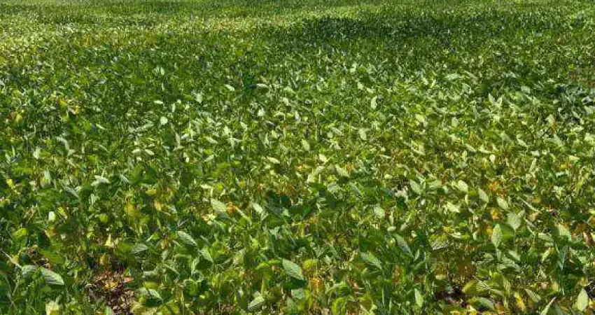 Fazenda à venda, 16300000 m² por R$ 33.000.000,00 - Zona Rural - Poconé/MT