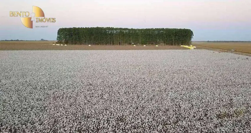 Fazenda à venda, 33000000 m² por R$ 408.000.000,00 - Zona Rural - Nova Mutum/MT