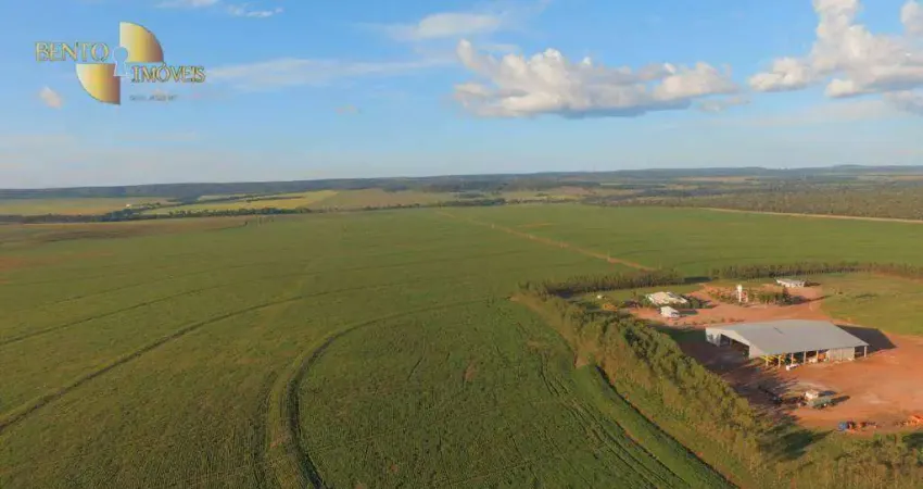 Fazenda à venda, 80000000 m² por R$ 200.000.000,00 - Zona Rural - Primavera do Leste/MT