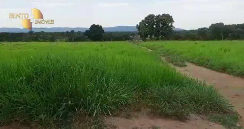 Fazenda à venda, 6500000 m² por R$ 6.500.000,00 - Zona Rural - Cuiabá/MT