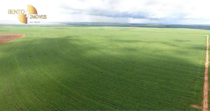 Fazenda à venda, 40500000 m² por R$ 481.950.000,00 - Zona Rural - General Carneiro/MT