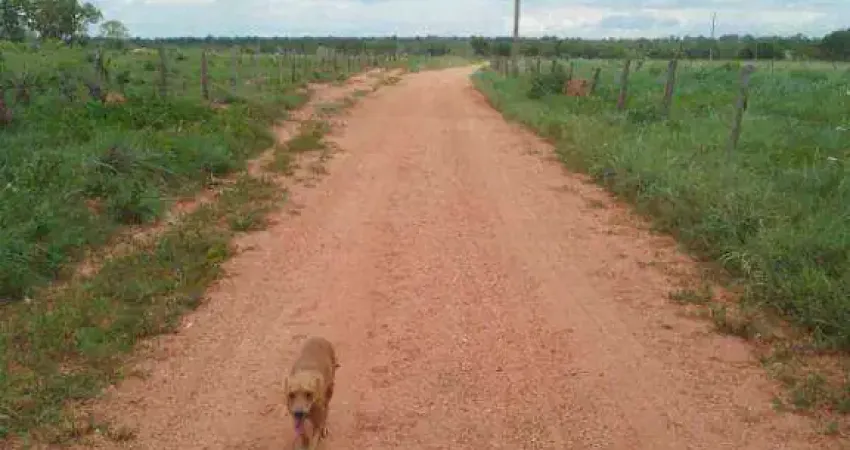 Fazenda à venda, 990000 m² por R$ 2.500.000,00 - Zona Rural - Poconé/MT