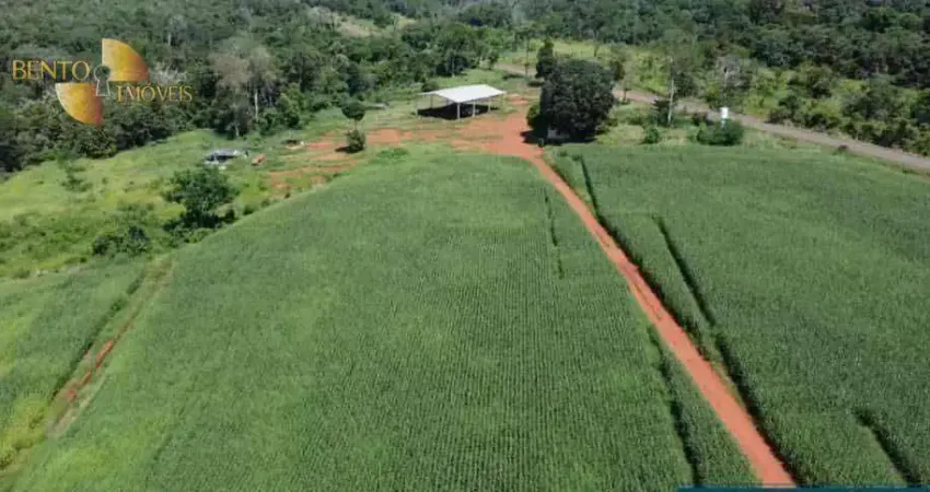 Fazenda à venda, 20000000 m² por R$ 119.000.000,00 - Zona Rural - Juara/MT