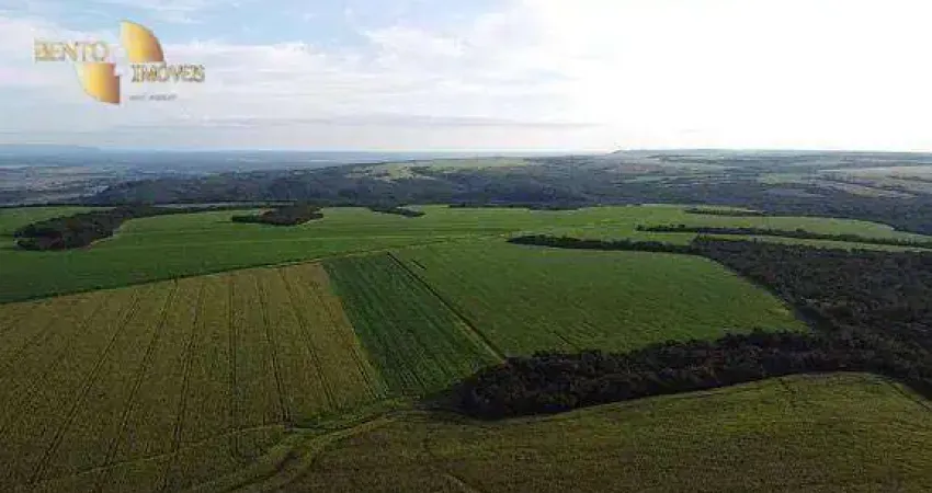 Fazenda à venda, 11450000 m² por R$ 34.000.000,00 - Zona Rural - Diamantino/MT
