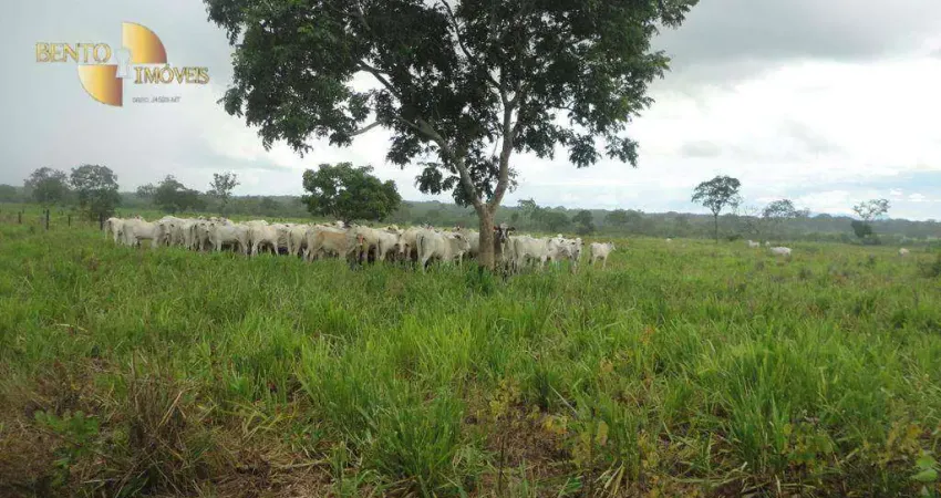 Fazenda à venda, 8360000 m² por R$ 30.000.000,00 - Zona Rural - Rosário Oeste/MT