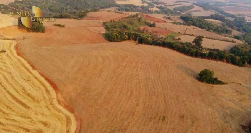 Fazenda à venda, 2968399 m² por R$ 52.800.000,00 - Zona Rural - Francisco Beltrão/PR