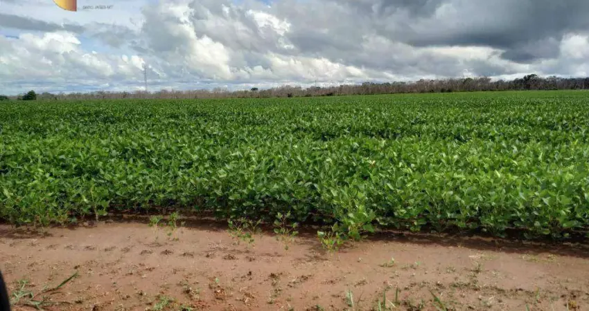Fazenda, 50000000 m² - venda por R$ 51.000.000 ou arrendamento por R$ 10.000/mês - Zona Rural - Guarantã do Norte/MT