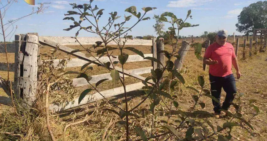 Fazenda à venda, 40140000 m² por R$ 15.000.000,00 - Zona Rural - Cocalinho/MT