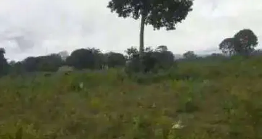 Fazenda à venda, 15000000 m² por R$ 10.000,00 - Zona Rural - Cáceres/MT