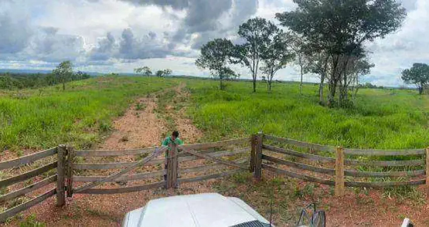 Fazenda à venda, 10090000 m² por R$ 6.000.000,00 - Manso - Chapada dos Guimarães/MT