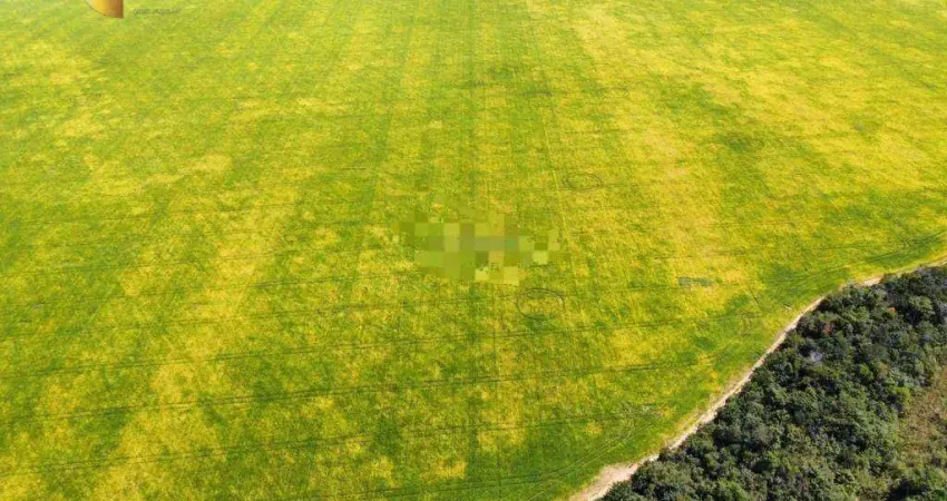 Fazenda para arrendamento, 19500000 m² por R$ 10.000/mês - Zona Rural - Canarana/MT