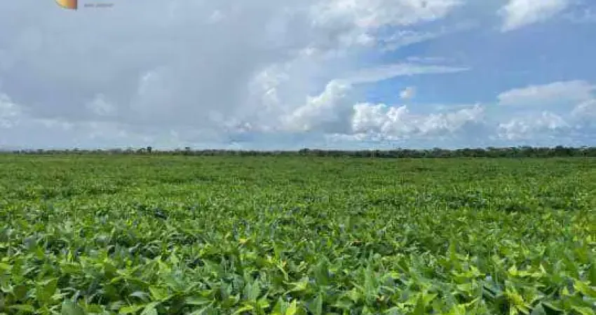 Fazenda para arrendamento, 60000000 m² por R$ 10.000/mês - Zona Rural - Juara/MT