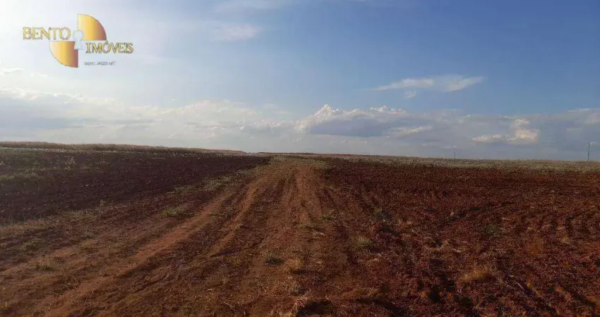 Fazenda para arrendamento, 90000000 m² por R$ 10.000/mês - Zona Rural - Tangará da Serra/MT