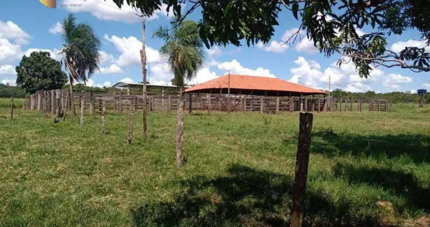 Fazenda à venda, 6350000 m² por R$ 20.000.000 - Zona Rural - Nova Xavantina/MT