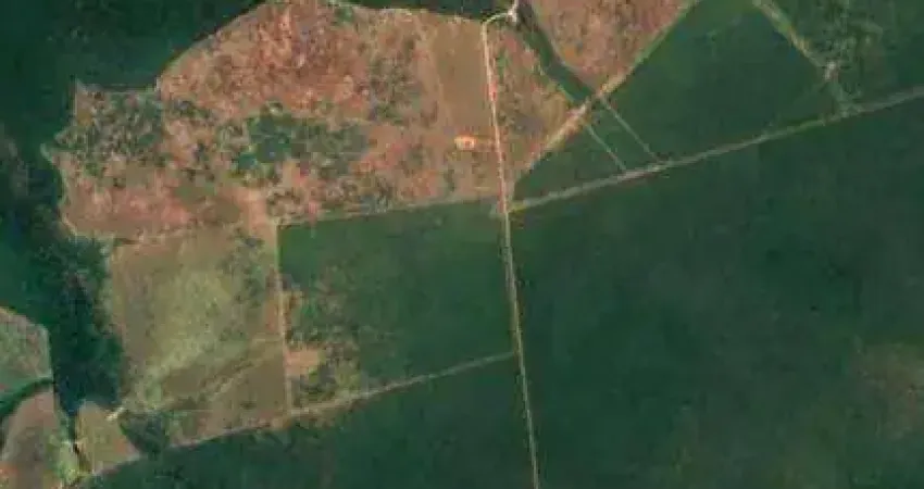 Fazenda à venda, 20000000 m² por R$ 10.000,00 - Zona Rural - Feliz Natal/MT