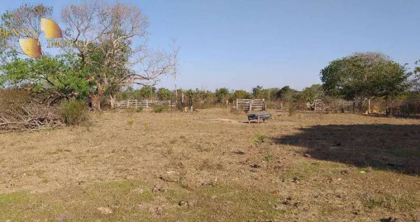 Fazenda à venda, 15630000 m² por R$ 18.000.000,00 - Zona Rural - Paranatinga/MT