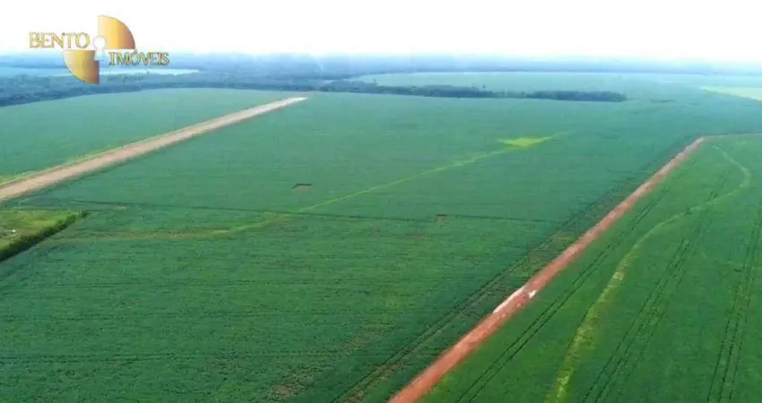 Fazenda à venda, 33500000 m² por R$ 340.000.000,00 - Zona Rural - Sorriso/MT