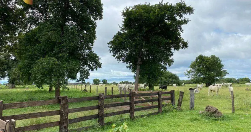 Fazenda, 200000000 m² - venda por R$ 250.000.000 ou arrendamento por R$ 420.000/mês - Zona Rural - Cocalinho/MT