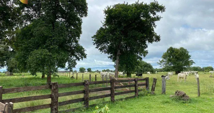 Fazenda, 200000000 m² - venda por R$ 250.000.000 ou arrendamento por R$ 420.000/mês - Zona Rural - Cocalinho/MT