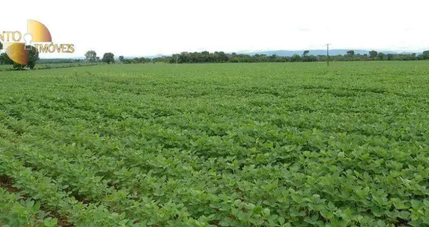 Fazenda à venda, 7270000 m² por R$ 20.000.000,00 - Zona Rural - Poconé/MT
