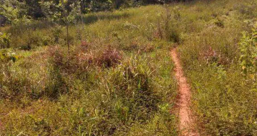 Fazenda à venda, 2400000 m² por R$ 3.000.000,00 - Zona Rural - Tesouro/MT
