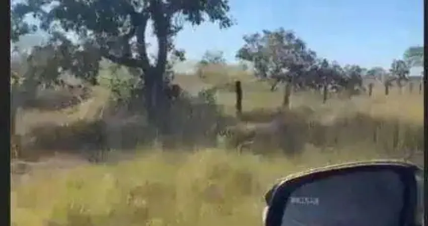 Fazenda à venda, 10890000 m² por R$ 18.600.000,00 - Zona Rural - Água Boa/MT