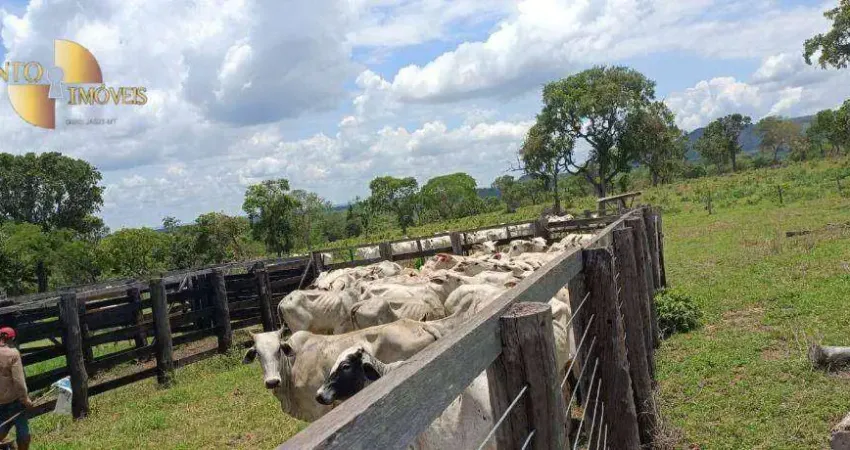 Fazenda à venda, 9120000 m² por R$ 12.000.000,00 - Zona Rural - Tesouro/MT