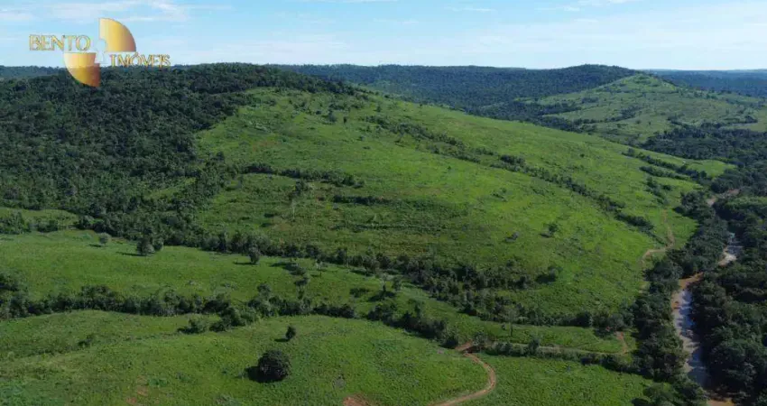 Fazenda à venda, 10500000 m² por R$ 20.000.000,00 - Zona Rural - Poxoréu/MT