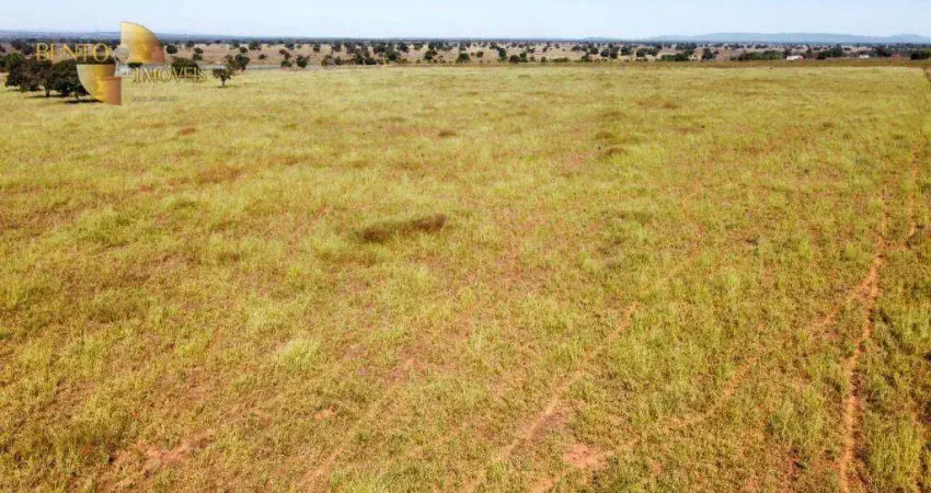 Fazenda à venda, 46440000 m² por R$ 190.000.000,00 - Zona Rural - Araguaína/TO