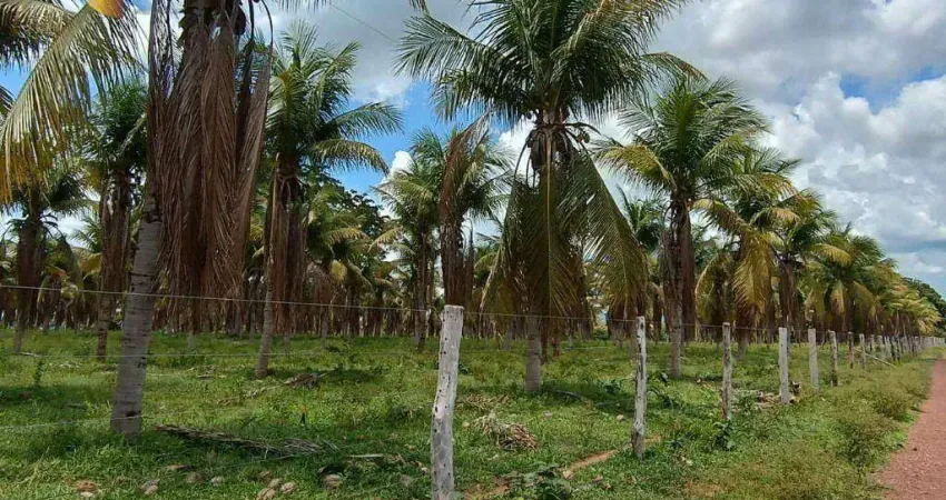 Fazenda à venda, 7000000 m² por R$ 21.000.000,00 - Zona Rural - Poconé/MT