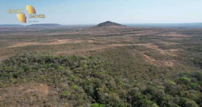 Fazenda à venda, 23000000 m² por R$ 32.000.000,00 - Zona Rural - Paranatinga/MT