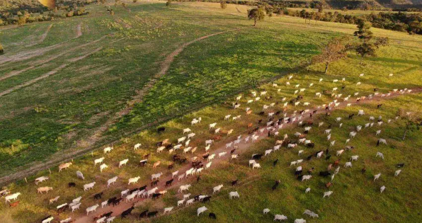 Fazenda à venda, 12940000 m² por R$ 25.880.000,00 - Zona Rural - Itiquira/MT