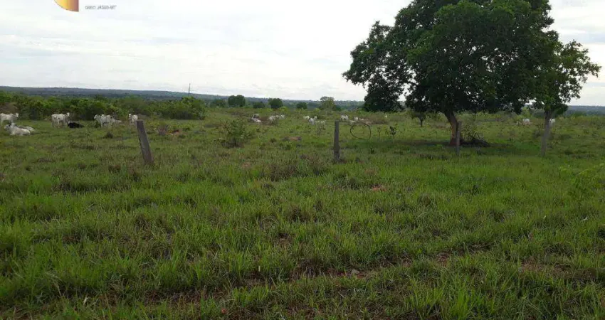 Fazenda à venda, 10000000 m² por R$ 32.000.000,00 - Zona Rural - Pontal do Araguaia/MT
