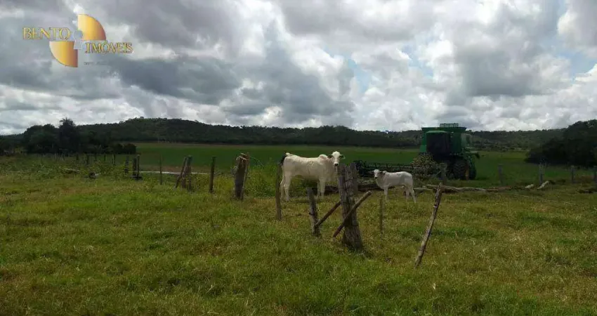 Fazenda à venda, 3800000 m² por R$ 12.000.000,00 - Zona Rural - Canarana/MT