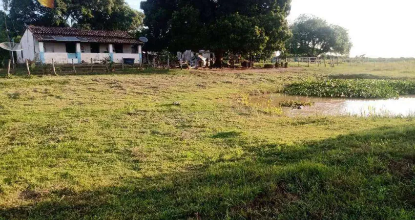 Fazenda à venda, 25000000 m² por R$ 10.000.000,00 - Zona Rural - Poconé/MT