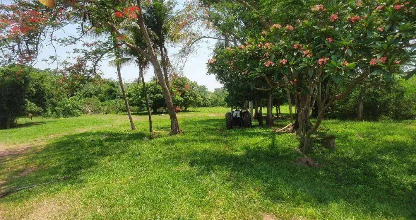 Fazenda à venda, 1500400 m² por R$ 6.200.000,00 - Zona Rural - Rondonópolis/MT
