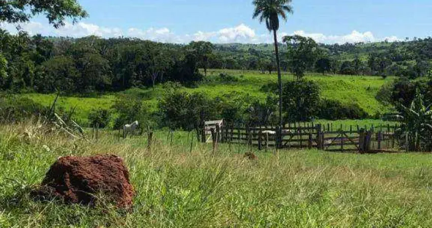 Fazenda à venda, 2825000 m² por R$ 9.338.400,00 - Zona Rural - Nova Bandeirantes/MT