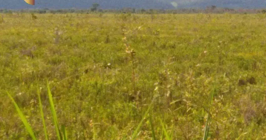 Fazenda à venda, 70000000 m² por R$ 15.000.000,00 - Zona Rural - Santo Antônio do Leverger/MT