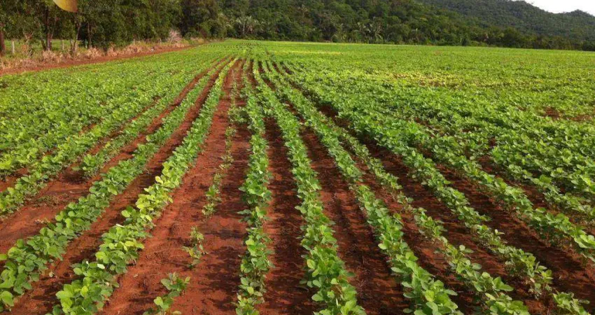 Fazenda à venda, 37110000 m² por R$ 189.261.000,00 - Zona Rural - Rosário Oeste/MT