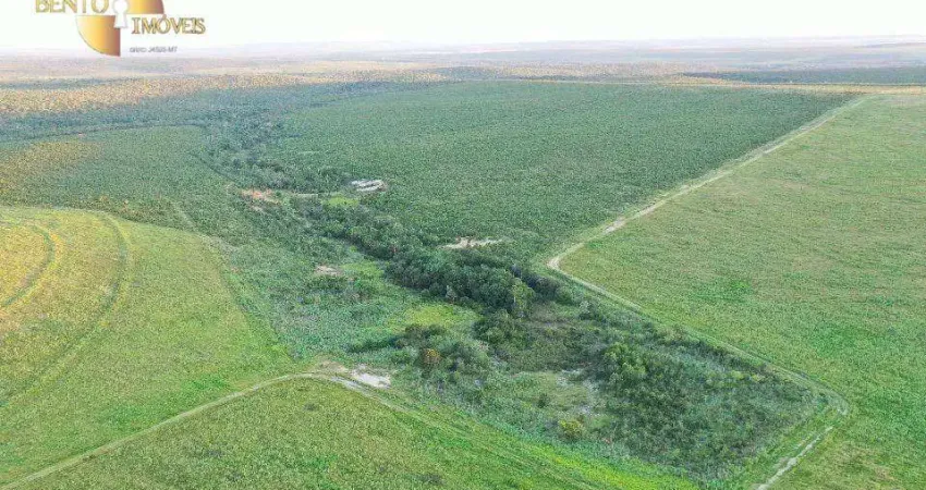 Fazenda à venda, 80000000 m² por R$ 210.000.000,00 - Zona Rural - Paranatinga/MT