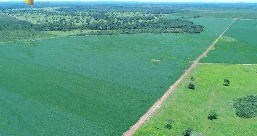 Fazenda à venda, 12100000 m² por R$ 70.000.000,00 - Zona Rural - Peixe/TO