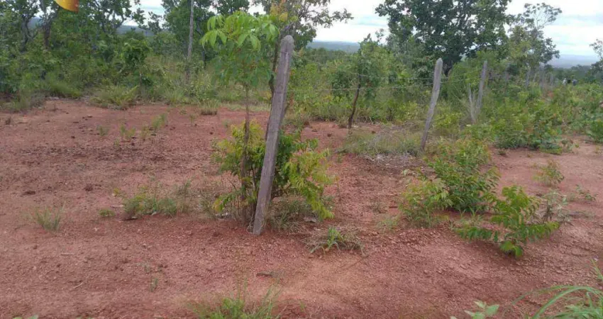 Fazenda à venda, 10000000 m² por R$ 12.000.000,00 - Zona Rural - Nova Mutum/MT