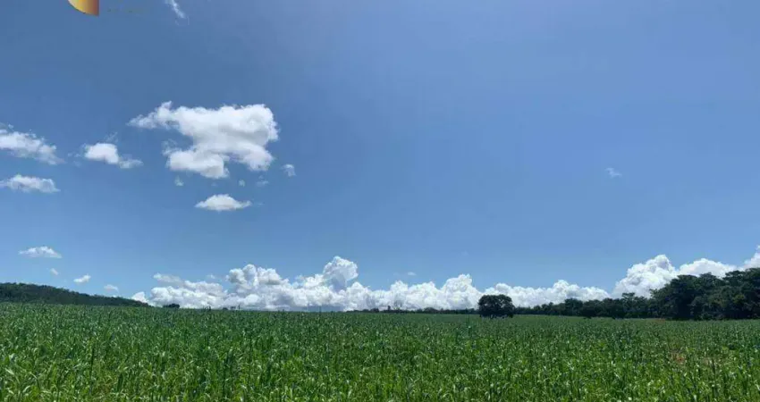 Fazenda à venda, 3370000 m² por R$ 10.000.000,00 - Zona Rural - Rondonópolis/MT