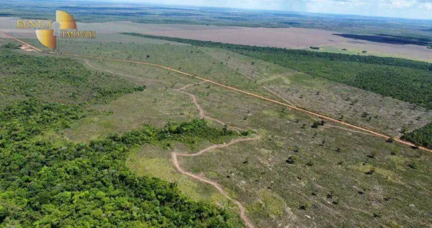 Fazenda à venda, 105000000 m² por R$ 10.000,00 - Zona Rural - Campos Lindos/TO
