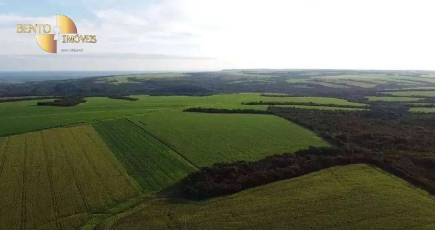 Fazenda à venda, 11440000 m² por R$ 30.000.000,00 - Zona Rural - Diamantino/MT