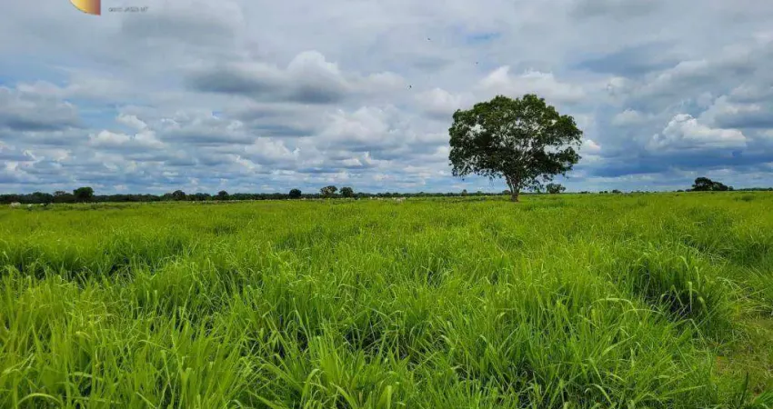 Fazenda à venda, 61350000 m² por R$ 98.160.000,00 - Zona Rural - Rondonópolis/MT