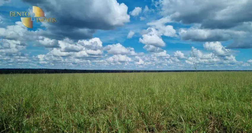 Fazenda à venda, 51500000 m² por R$ 180.000.000,00 - Centro - Feliz Natal/MT