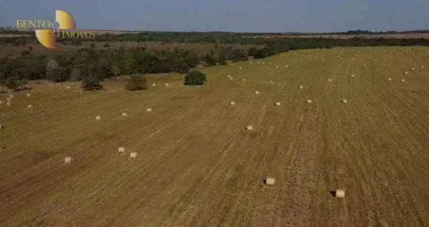 Fazenda à venda, 8000000 m² por R$ 36.000.000,00 - Zona Rural - Água Boa/MT