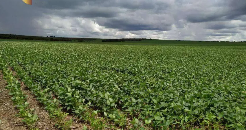 Fazenda à venda, 12500000 m² por R$ 75.000.000,00 - Zona Rural - Diamantino/MT