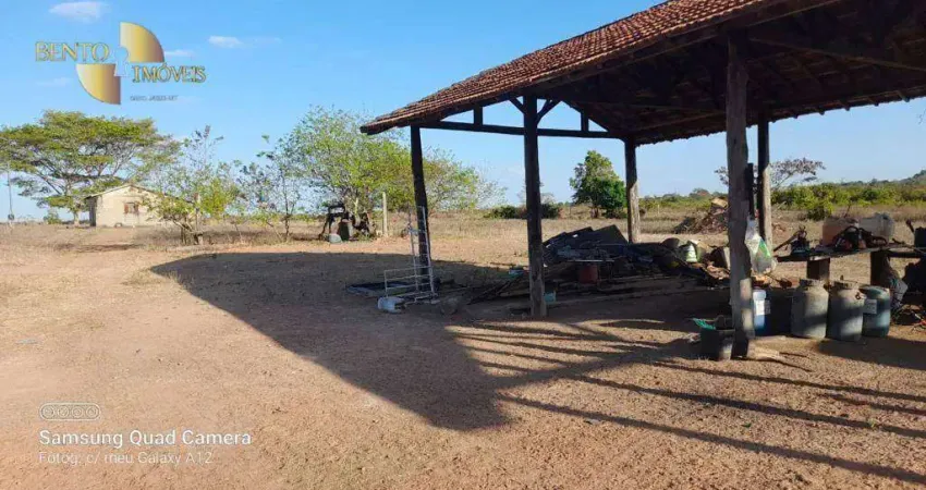 Fazenda para arrendar, 9680000 m² por R$ 10.000/mês - Zona Rural - Vila Rica/MT